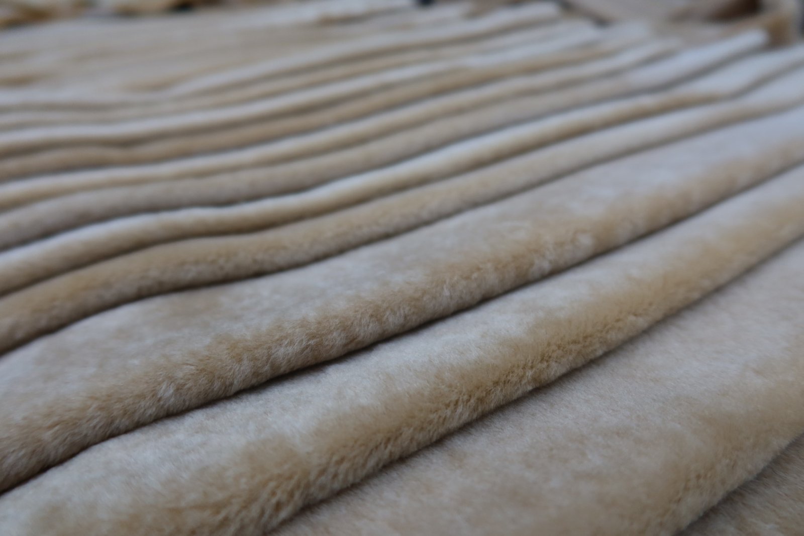 SHEARLING